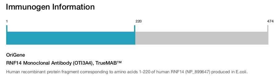 RNF14 Monoclonal Antibody (OTI3A4), TrueMAB&trade;