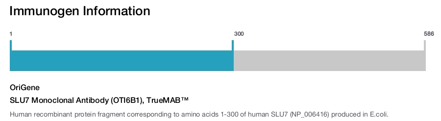 SLU7 Monoclonal Antibody (OTI6B1), TrueMAB&trade;