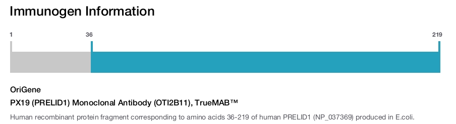 PX19 (PRELID1) Monoclonal Antibody (OTI2B11), TrueMAB&trade;