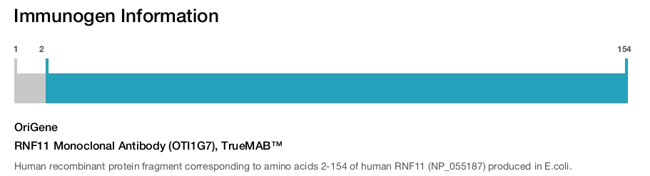 RNF11 Monoclonal Antibody (OTI1G7), TrueMAB&trade;