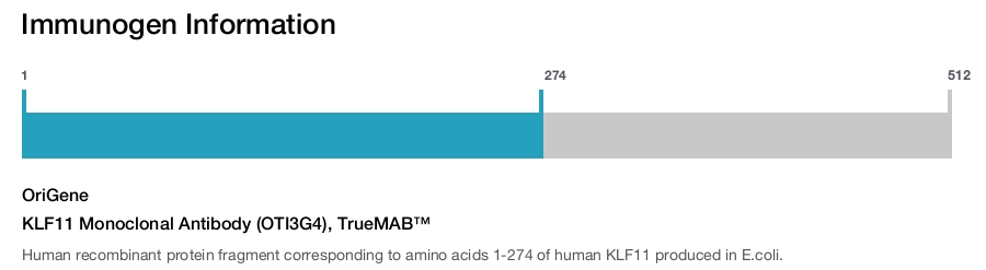 KLF11 Monoclonal Antibody (OTI3G4), TrueMAB&trade;