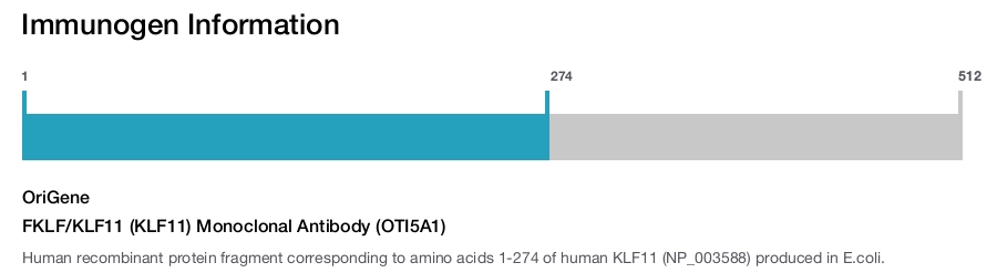 FKLF/KLF11 (KLF11) Monoclonal Antibody (OTI5A1)