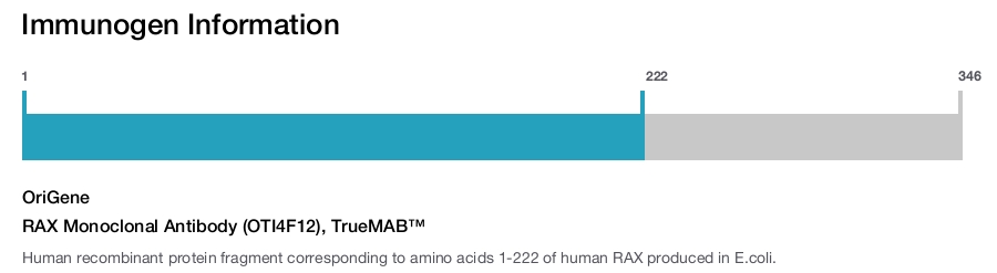 RAX Monoclonal Antibody (OTI4F12), TrueMAB&trade;