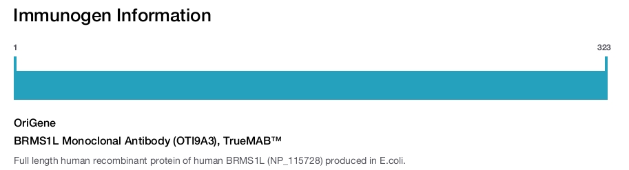 BRMS1L Monoclonal Antibody (OTI9A3), TrueMAB&trade;