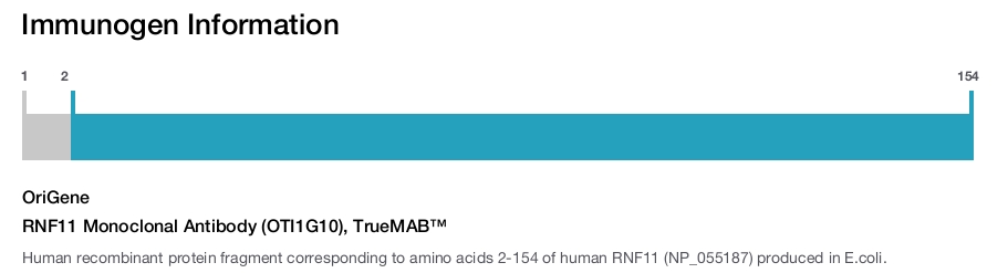 RNF11 Monoclonal Antibody (OTI1G10), TrueMAB&trade;