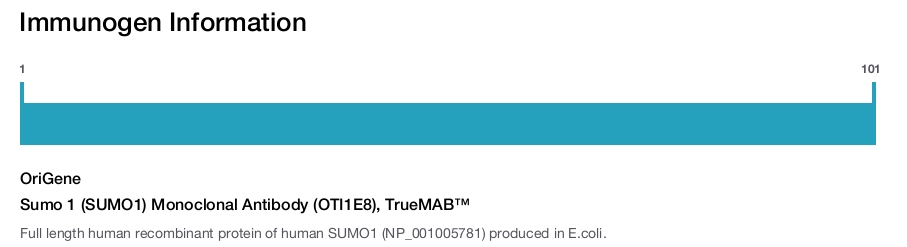 Sumo 1 (SUMO1) Monoclonal Antibody (OTI1E8), TrueMAB&trade;
