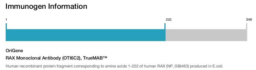 RAX Monoclonal Antibody (OTI6C2), TrueMAB&trade;