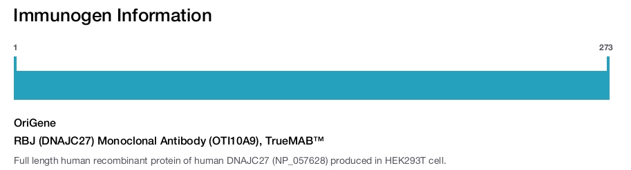 RBJ (DNAJC27) Monoclonal Antibody (OTI10A9), TrueMAB&trade;