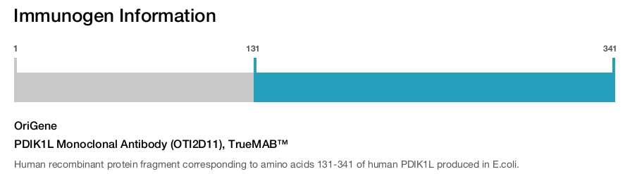 PDIK1L Monoclonal Antibody (OTI2D11), TrueMAB&trade;