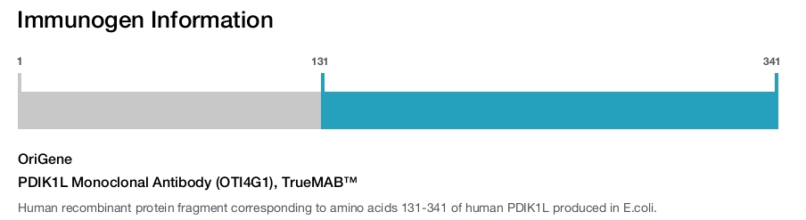 PDIK1L Monoclonal Antibody (OTI4G1), TrueMAB&trade;