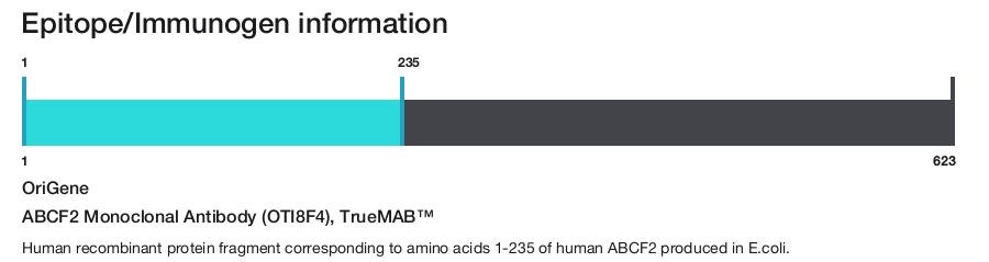 ABCF2 Monoclonal Antibody (OTI8F4), TrueMAB&trade;