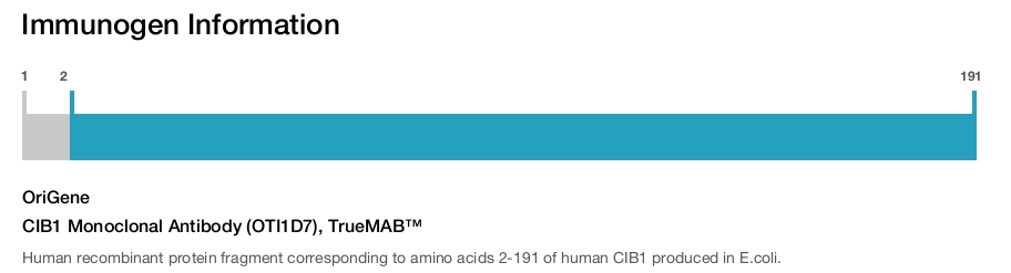 CIB1 Monoclonal Antibody (OTI1D7), TrueMAB&trade;