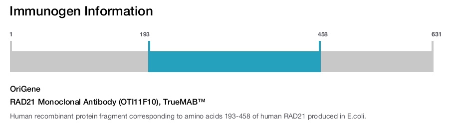 RAD21 Monoclonal Antibody (OTI11F10), TrueMAB&trade;