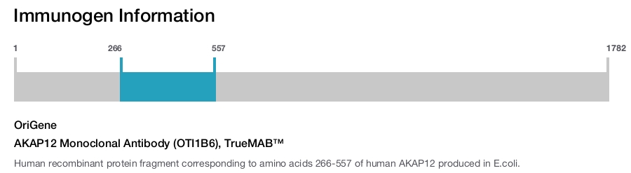AKAP12 Monoclonal Antibody (OTI1B6), TrueMAB&trade;