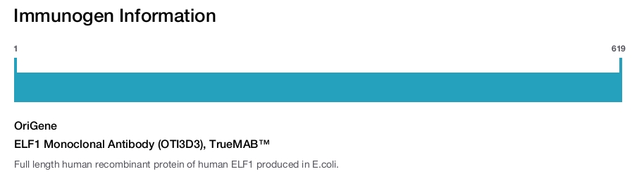 ELF1 Monoclonal Antibody (OTI3D3), TrueMAB&trade;