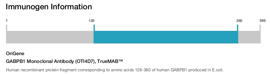 GABPB1 Monoclonal Antibody (OTI4D7), TrueMAB&trade;