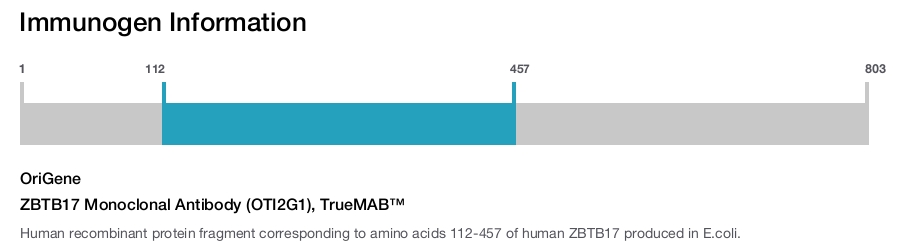 ZBTB17 Monoclonal Antibody (OTI2G1), TrueMAB&trade;