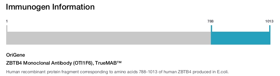 ZBTB4 Monoclonal Antibody (OTI1F6), TrueMAB&trade;