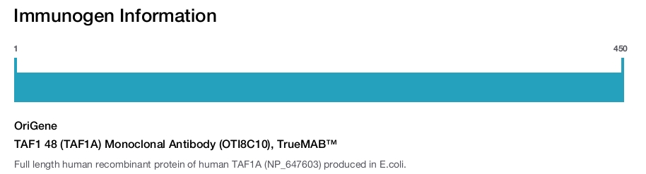 TAF1 48 (TAF1A) Monoclonal Antibody (OTI8C10), TrueMAB&trade;