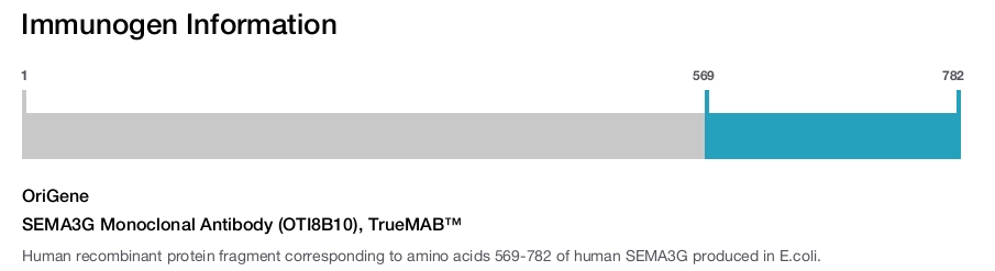 SEMA3G Monoclonal Antibody (OTI8B10), TrueMAB&trade;