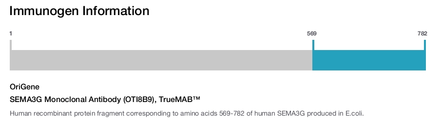 SEMA3G Monoclonal Antibody (OTI8B9), TrueMAB&trade;