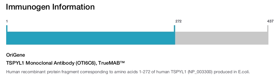 TSPYL1 Monoclonal Antibody (OTI6C6), TrueMAB&trade;