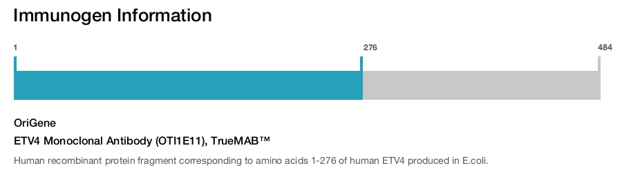 ETV4 Monoclonal Antibody (OTI1E11), TrueMAB&trade;
