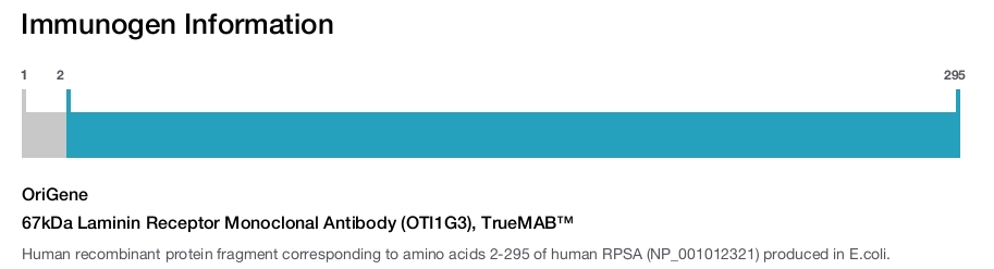 67kDa Laminin Receptor Monoclonal Antibody (OTI1G3), TrueMAB&trade;