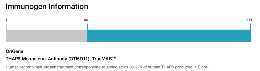 THAP8 Monoclonal Antibody (OTI5D11), TrueMAB&trade;