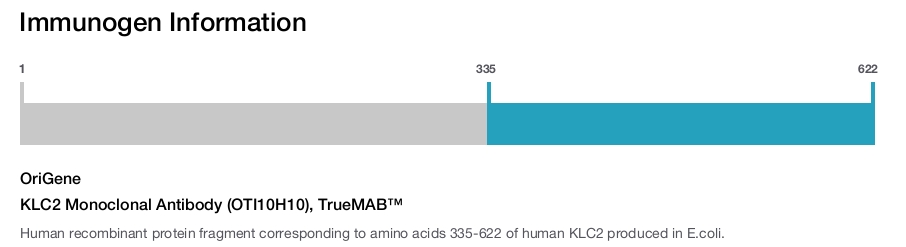 KLC2 Monoclonal Antibody (OTI10H10), TrueMAB&trade;