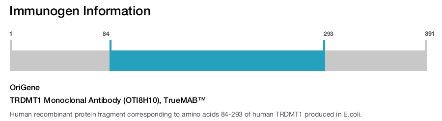 TRDMT1 Monoclonal Antibody (OTI8H10), TrueMAB&trade;