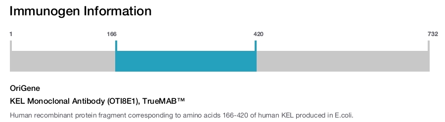 KEL Monoclonal Antibody (OTI8E1), TrueMAB&trade;