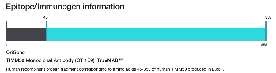 TIMM50 Monoclonal Antibody (OTI1E9), TrueMAB&trade;
