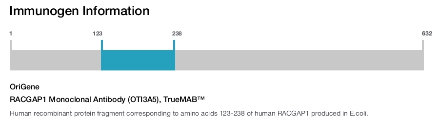 RACGAP1 Monoclonal Antibody (OTI3A5), TrueMAB&trade;