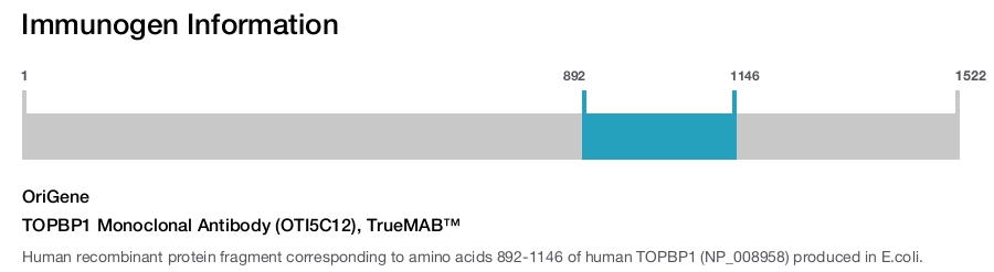 TOPBP1 Monoclonal Antibody (OTI5C12), TrueMAB&trade;