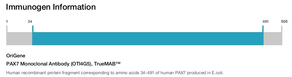 PAX7 Monoclonal Antibody (OTI4G5), TrueMAB&trade;
