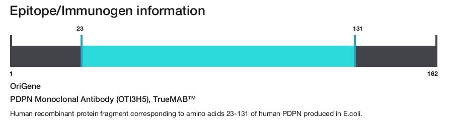 PDPN Monoclonal Antibody (OTI3H5), TrueMAB&trade;