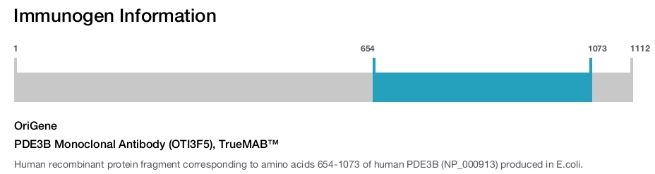 PDE3B Monoclonal Antibody (OTI3F5), TrueMAB&trade;