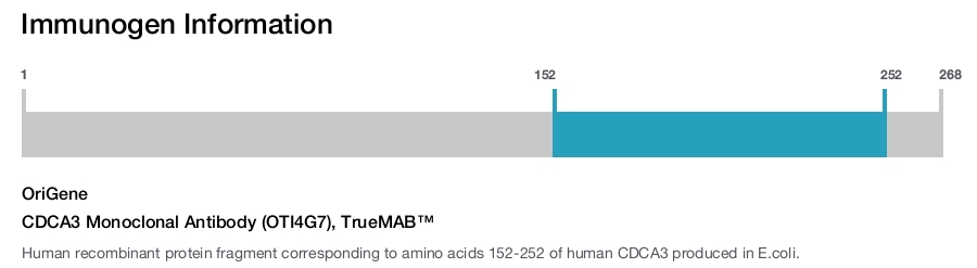 CDCA3 Monoclonal Antibody (OTI4G7), TrueMAB&trade;