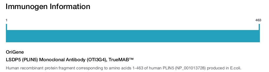 LSDP5 (PLIN5) Monoclonal Antibody (OTI3G4), TrueMAB&trade;