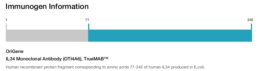 IL34 Monoclonal Antibody (OTI4A6), TrueMAB&trade;