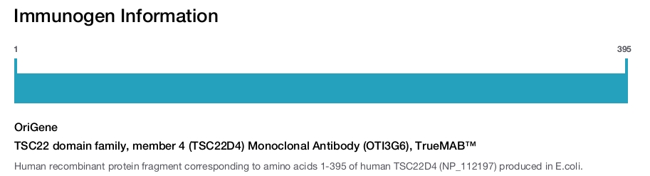 TSC22 domain family, member 4 (TSC22D4) Monoclonal Antibody (OTI3G6), TrueMAB&trade;