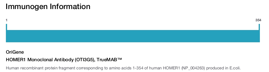 HOMER1 Monoclonal Antibody (OTI3G5), TrueMAB&trade;