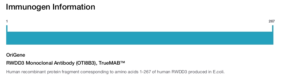 RWDD3 Monoclonal Antibody (OTI8B3), TrueMAB&trade;