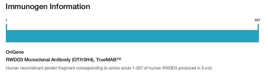 RWDD3 Monoclonal Antibody (OTI10H4), TrueMAB&trade;