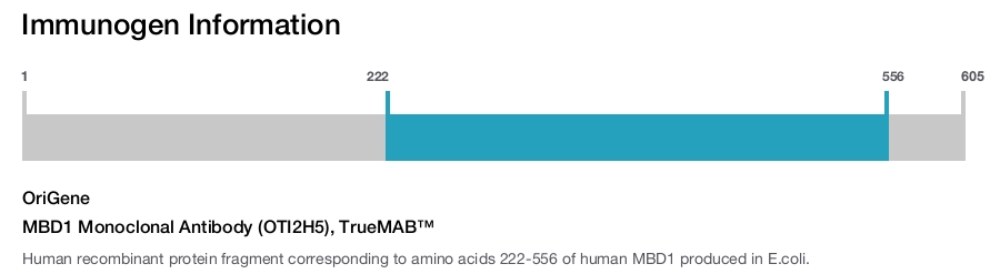 MBD1 Monoclonal Antibody (OTI2H5), TrueMAB&trade;