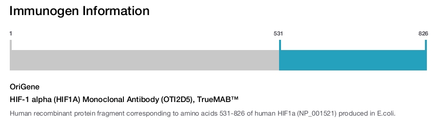 HIF-1 alpha (HIF1A) Monoclonal Antibody (OTI2D5), TrueMAB&trade;