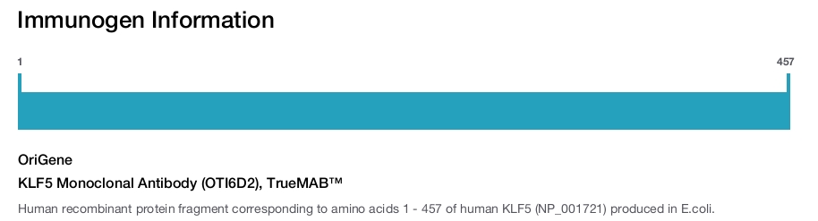 KLF5 Monoclonal Antibody (OTI6D2), TrueMAB&trade;