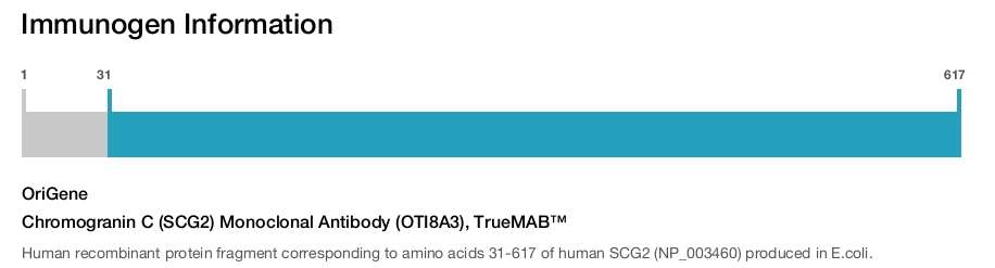 Chromogranin C (SCG2) Monoclonal Antibody (OTI8A3), TrueMAB&trade;