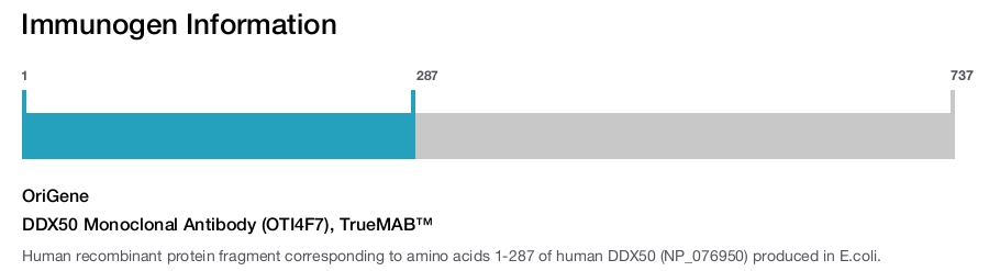 DDX50 Monoclonal Antibody (OTI4F7), TrueMAB&trade;